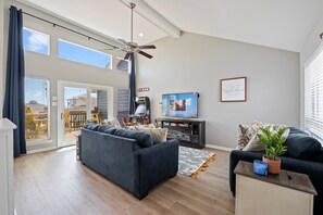 Smart TV, fireplace, books