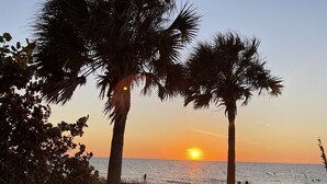 A beach scene with palm trees and the ocean at sunset. - Waterfront 5-bed 4 bath with heated pool BTR 2030 (Indian Rocks Beach)