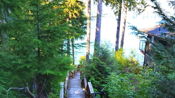 A wooden staircase leading up to a building surrounded by dense forest.