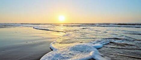 Chaises longues, serviettes de plage