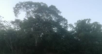 Hermoso Lodge Privado en el Amazonas