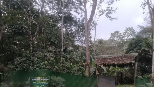 Une zone naturelle délimitée par une clôture verte, un panneau indiquant « PROTÉGEONS LA NATURE DE TAMBOPA AMAZON », et une petite construction dotée d’un toit de chaume.