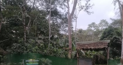 Hermoso Lodge Privado en el Amazonas