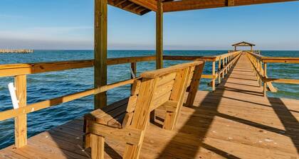 Golden Gull by Miss Kitty’s