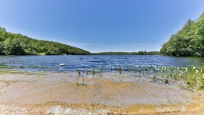 A river with clear water, surrounded by dense green forest. - The Starry beach, lake front cottage (Amherst)