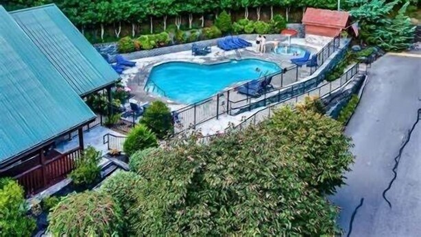 Una piscina rodeada de exuberante vegetación, un área de descanso cubierta y un edificio con techo azul.