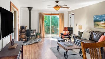 Smart TV, fireplace, books