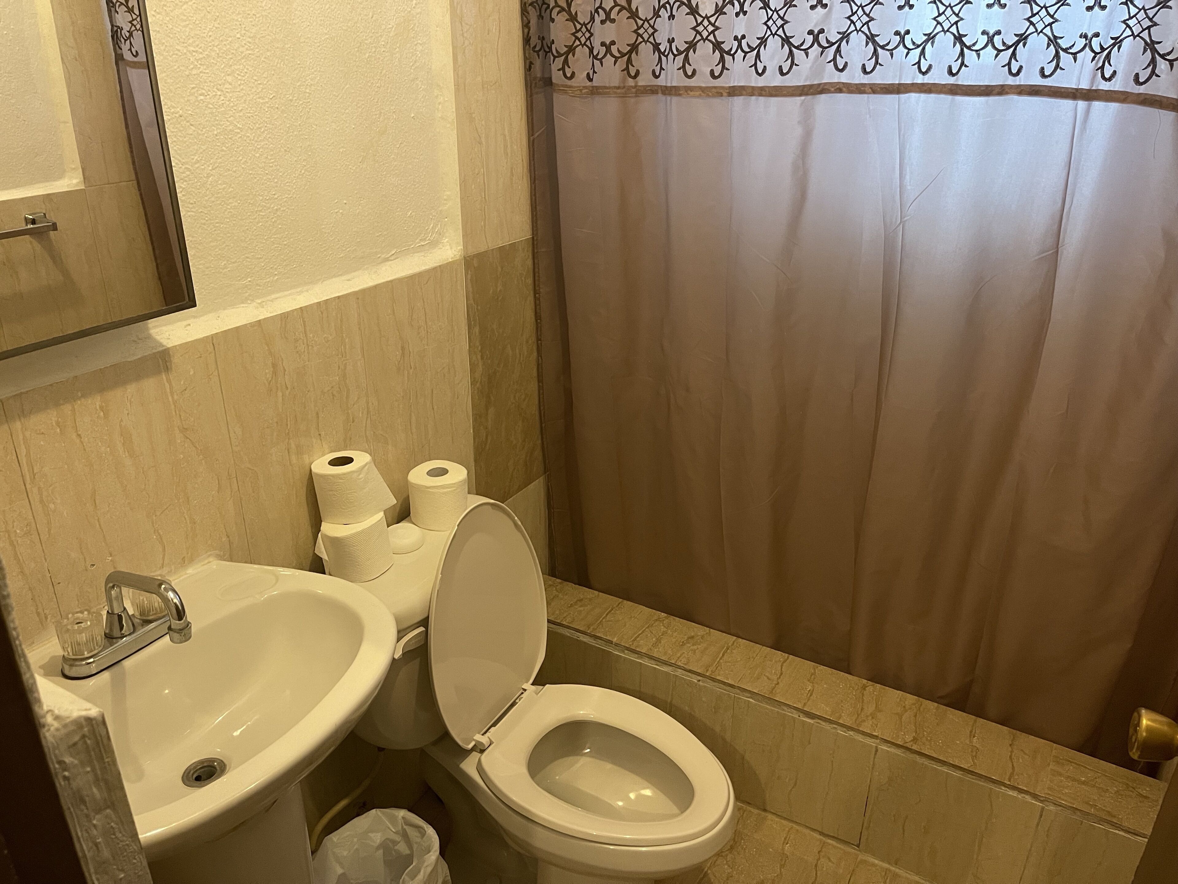 Un baño con inodoro, lavabo y dos rollos de papel higiénico.