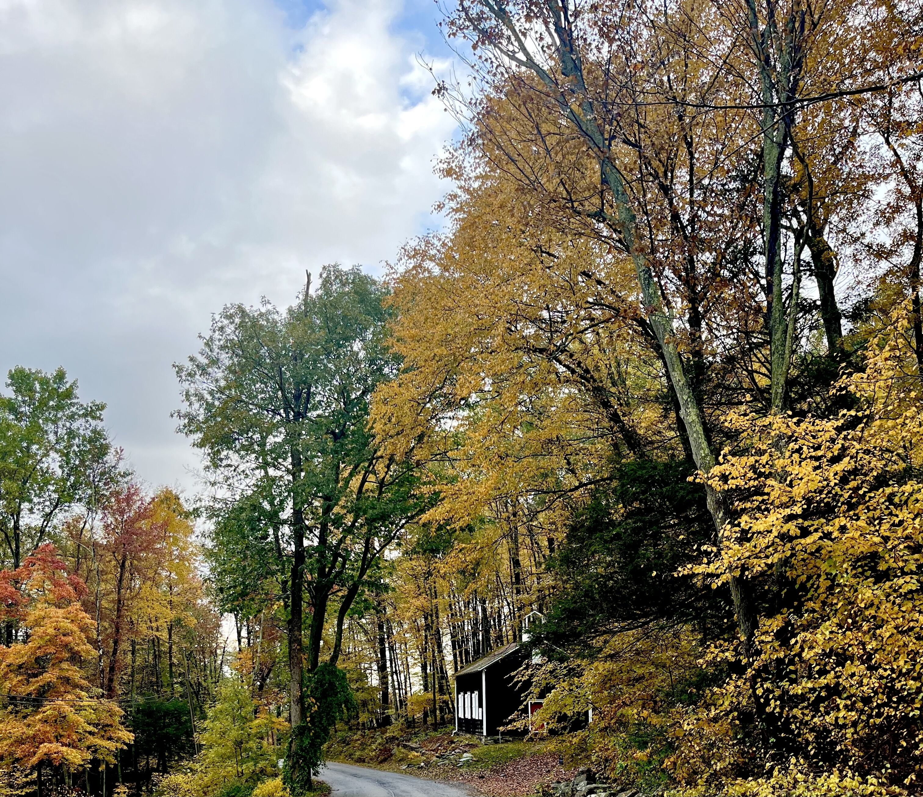 Towels, soap, toilet paper