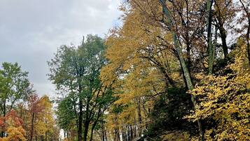 提供毛巾、番梘、廁紙