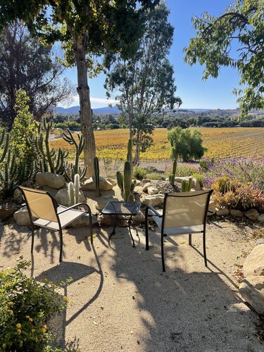 Hilltop Vineyard and Agave Field  Views