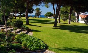 Terrain de l’hébergement 