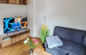 Televisión 