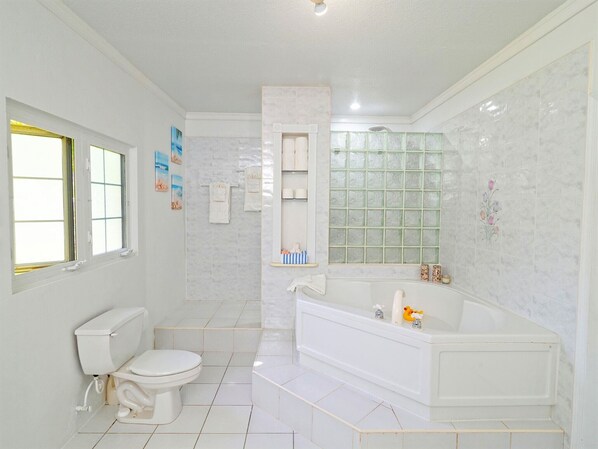 Combined shower/bathtub, hair dryer, towels, soap