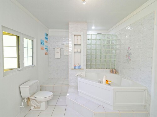 Spacious Open Concept Large family house with 3 bedrooms. Amazing space.