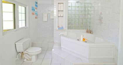 Spacious Open Concept Large family house with 3 bedrooms. Amazing space.