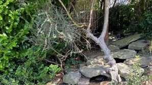 A small pond with a waterfall, surrounded by rocks and greenery. - Brighouse Studio - Pet Friendly! - Free Parking (Brighouse)