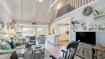 Télévision, cheminée, livres, vidéothÚque