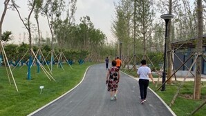 A paved pathway in a park with trees and a lamp post. - More Joy Express Hotel (Dacheng)