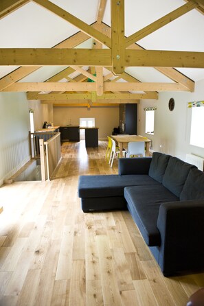 TV, fireplace, table tennis, books