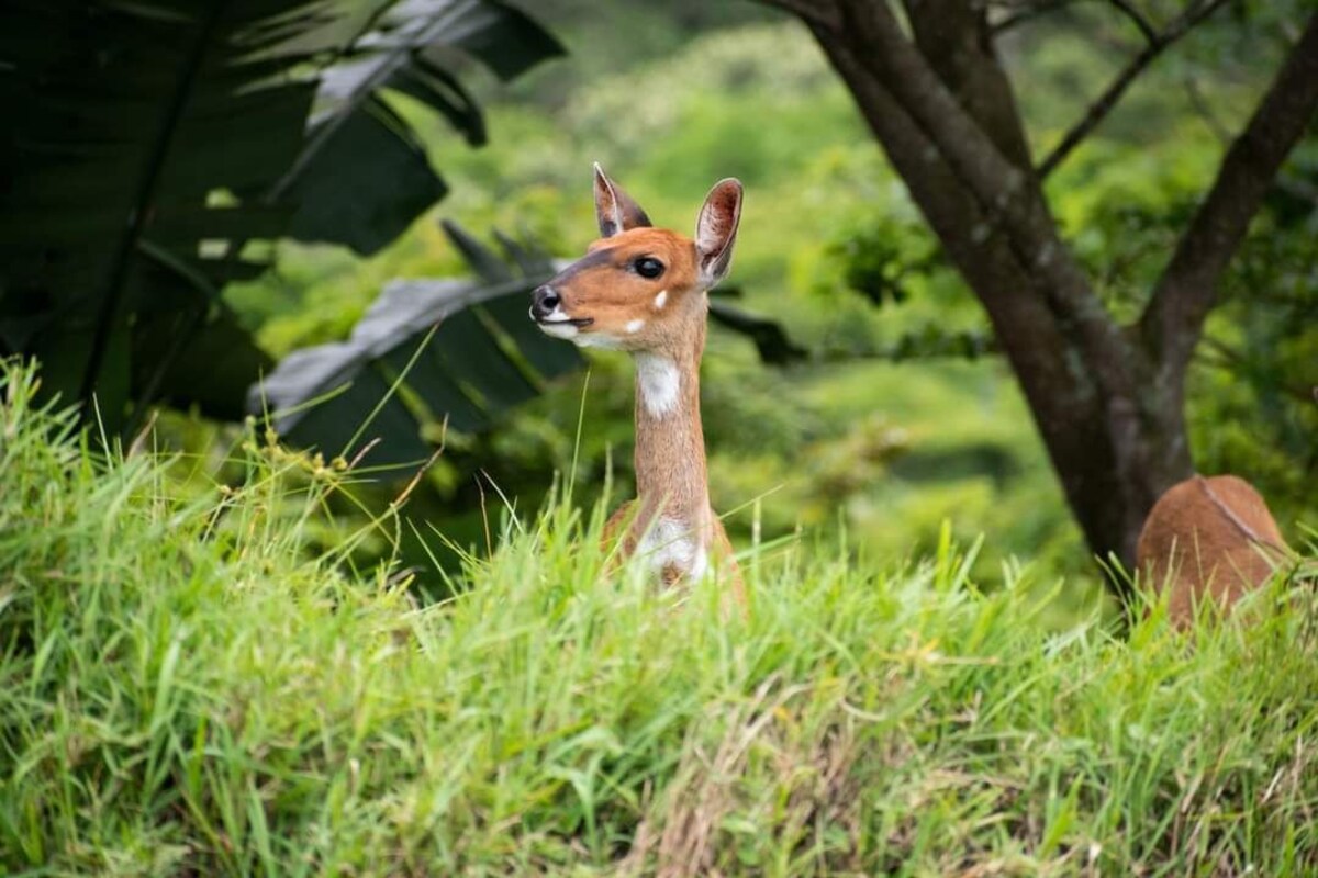 Host profile image