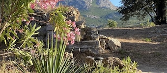 Apartment in Villa, with garden and sea and mountain view