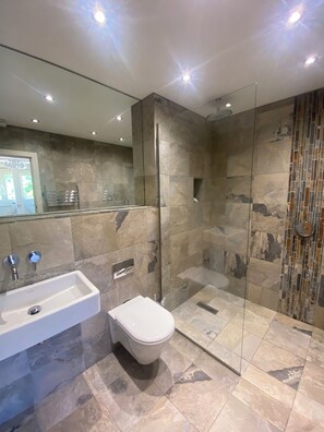 Shower, hair dryer, towels, toilet paper