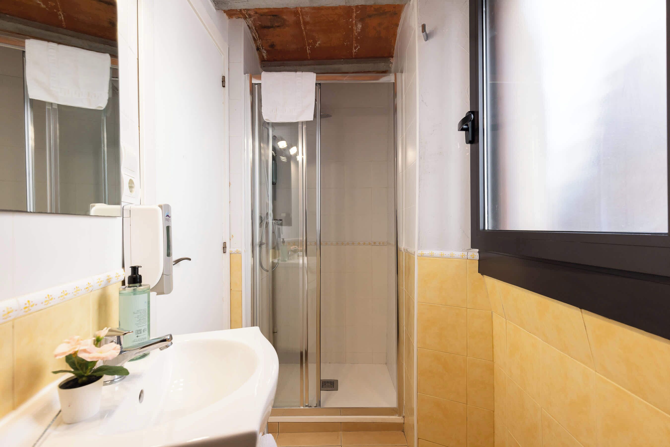 Shower, hair dryer, shampoo