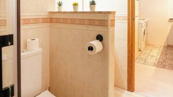 Ducha, secador de pelo y champú