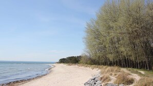 Une plage avec une rive sablonneuse, un sentier rocheux et une rangée d’arbres.