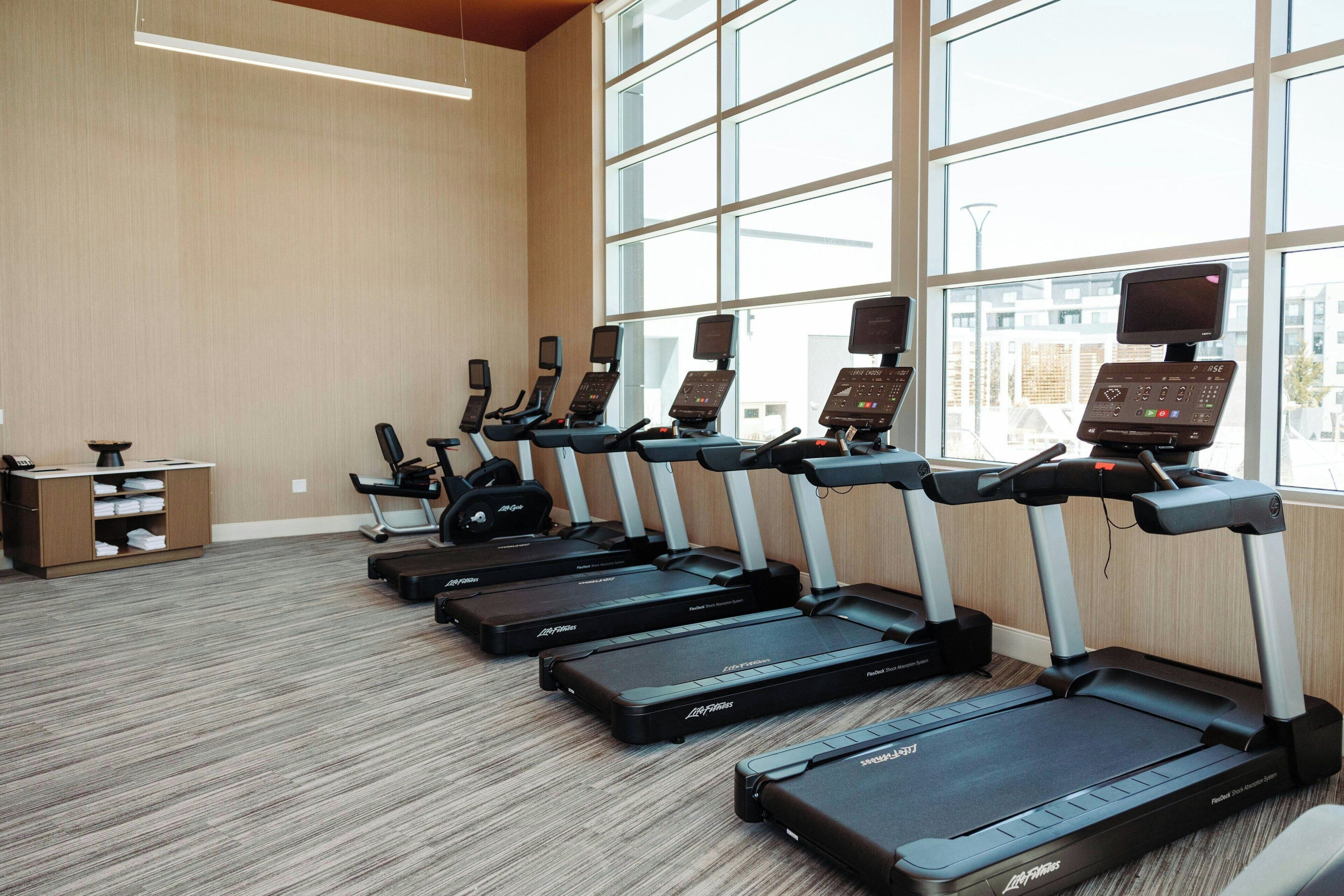 A row of treadmills in a well-lit room with large windows.
