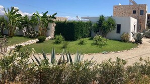Une maison moderne dotée d’un jardin bien entretenu, comprenant des palmiers et divers arbustes.