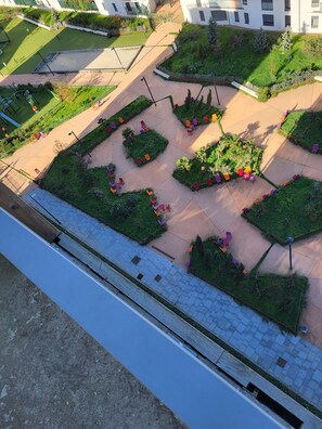 Terrein van de accommodatie