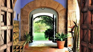 An arched doorway leading to a garden with potted plants and a wooden door.