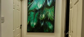 House Near Cardiff City Centre