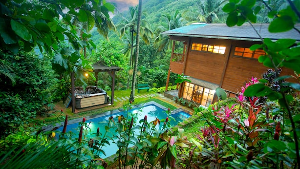 A lush garden with a pool, wooden house, and tropical plants.