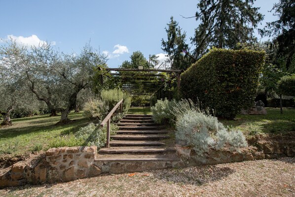 Eine Steintreppe führt zu einem hölzernen Pergola in einem Garten mit Olivenbäumen und einer Hecke.