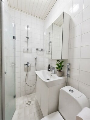 Ein modernes Badezimmer mit einer einachig gefliesten Dusche, einem weißen Waschbecken, einem Spiegel und einer Toilette.