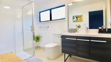 Shower, hair dryer, towels, shampoo