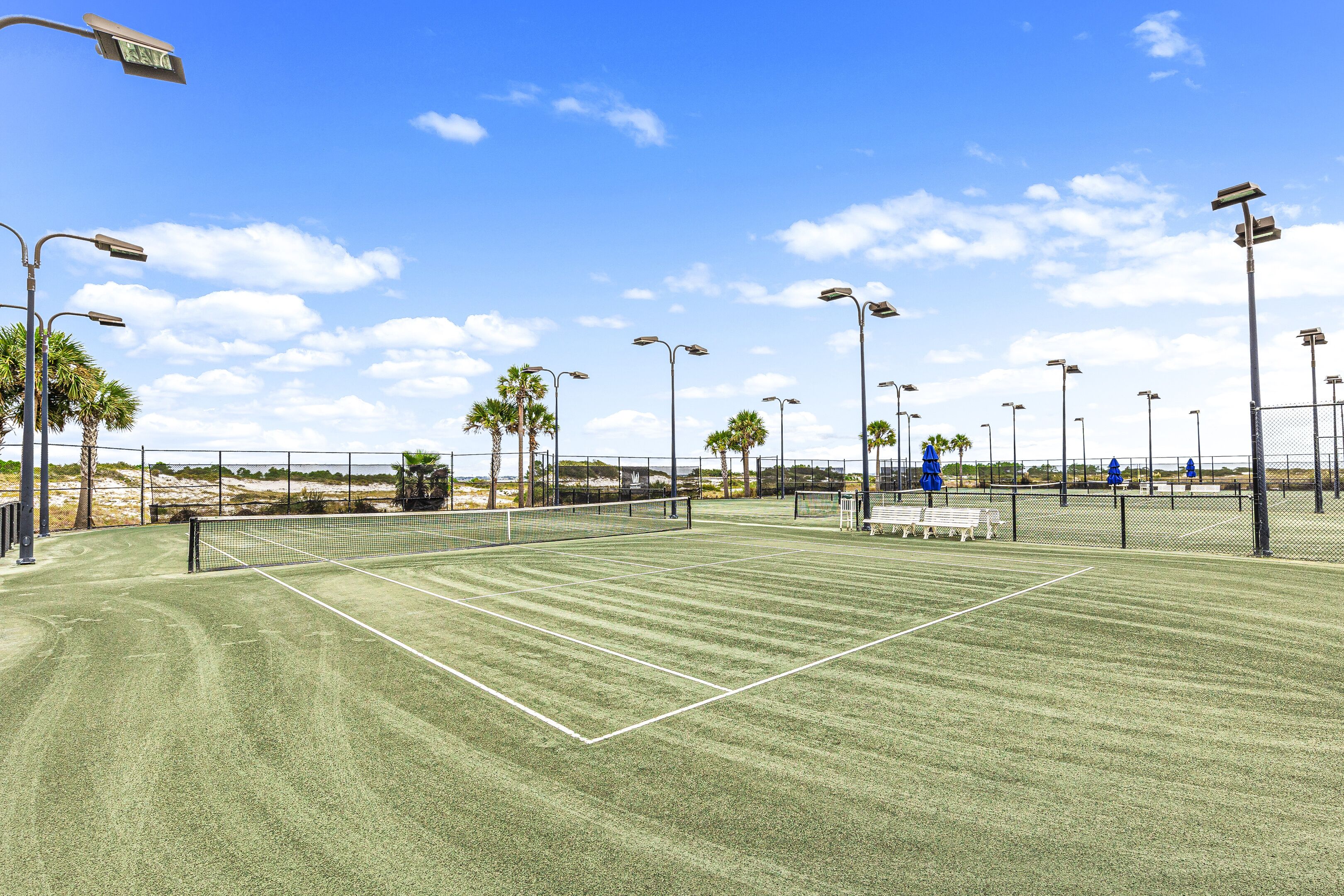 A tennis court with a net, surrounded by palm trees and street lamps.