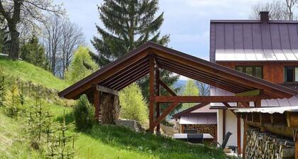 Tanvald by Interhome