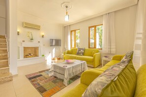 TV, fireplace, ping pong