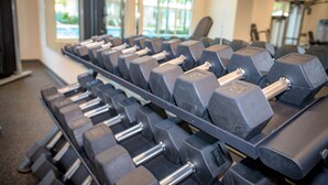 A row of black dumbbells on a rack in a gym with large windows and exercise equipment in the background. - The Calypso Resort in PCB , Family Friendly,11 Floor, Free Beach Chairs Service (Panama City Beach)