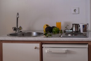 Fridge, stovetop, cookware/dishes/utensils, spices