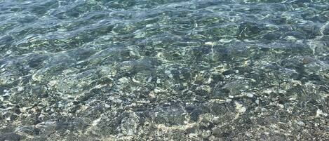 Ranta