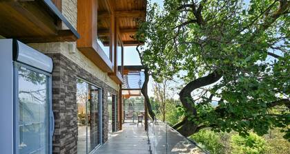 Stunning Villa With Infinity Pool, Croatia