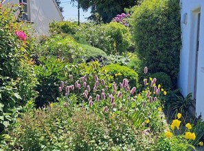 Exterior detail - Old Church House, Brayford (Brayford)