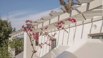 Chambre Ăconomique Double ou avec lits jumeaux | Terrasse/Patio