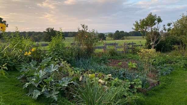 A garden with various plants and a wooden fence in the foreground. - La Lisière du Morvan (Magny-Lormes)