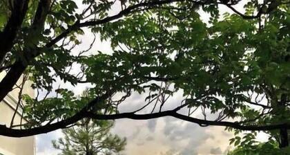 Oasis Extended Suite Santa Fe County